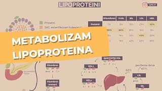 Metabolizam lipoproteina: Hilomikroni, VLDL, IDL, LDL, HDL