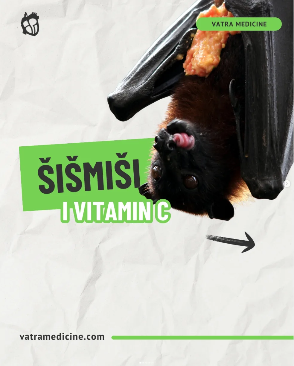 Vatra Medicine Instagram objava 3