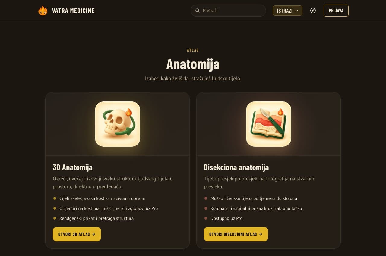 Anatomija