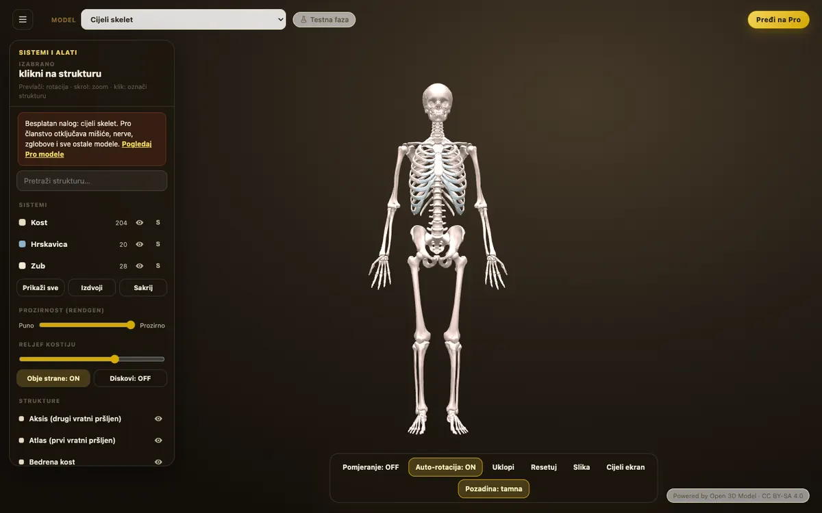 3D anatomija