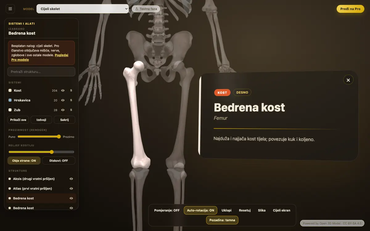 3D skelet sa izabranom bedrenom kosti i info karticom